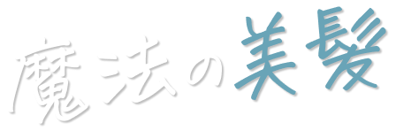 魔法の美髪